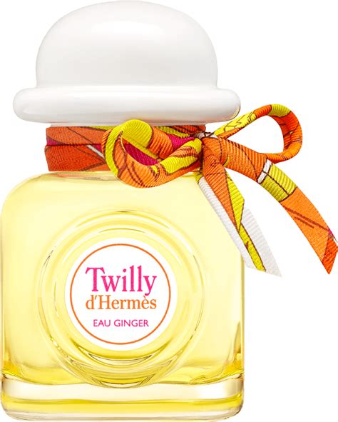 twilly d hermes stores|twilly hermes eau ginger.